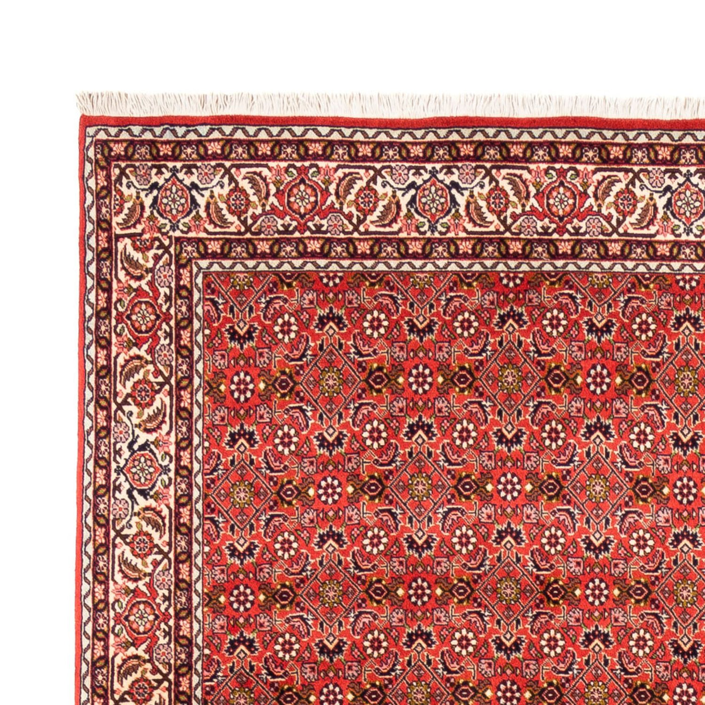 Bidjar - Bukan Rug 242x168cm - Persian Rugs