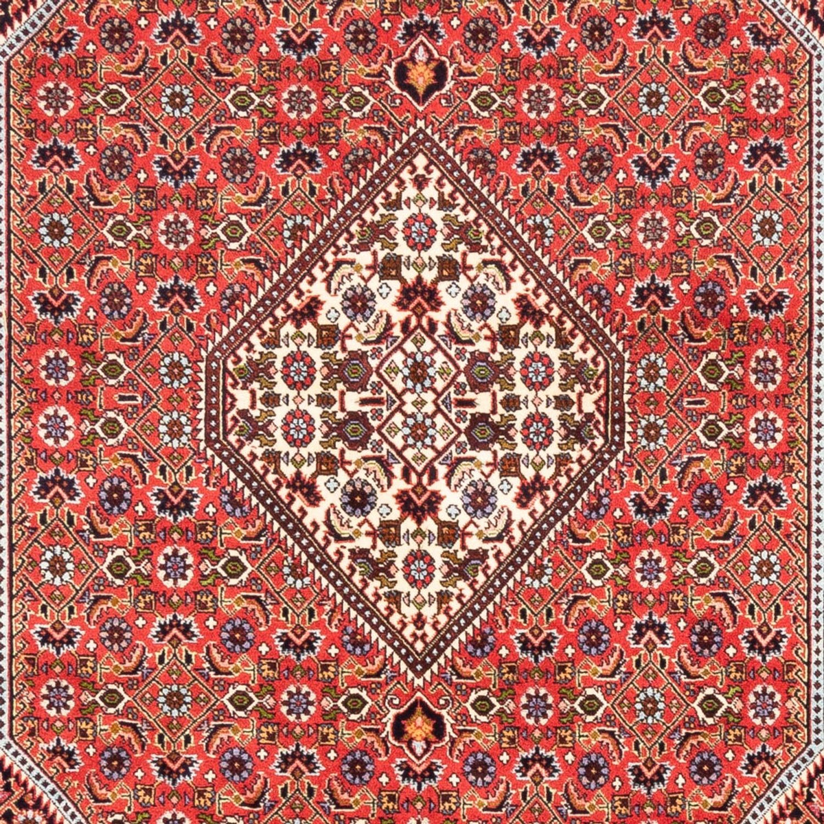 Perser Rug - Bidjar - 247 x 168 cm - red
