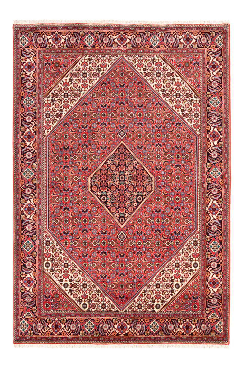 Perser Rug - Bidjar - 245 x 170 cm - red