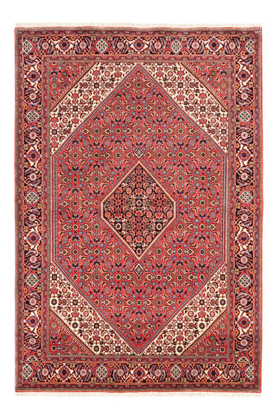 Bidjar - Bukan Rug 170x245cm - Persian Rugs - red