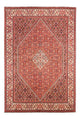 Bidjar - Bukan Rug 244x168cm - Persian Rugs