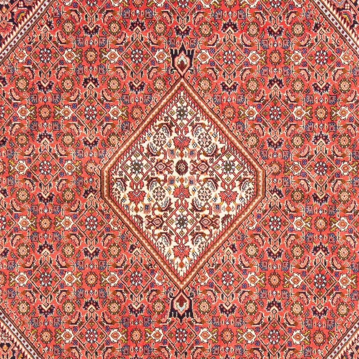 Perser Rug - Bidjar - 244 x 168 cm - red