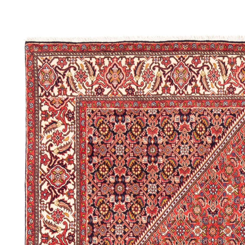 Perser Rug - Bidjar - 244 x 168 cm - red