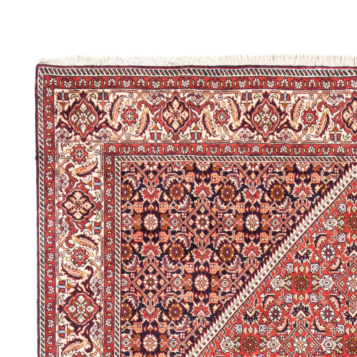 Perser Rug - Bidjar - 240 x 168 cm - red