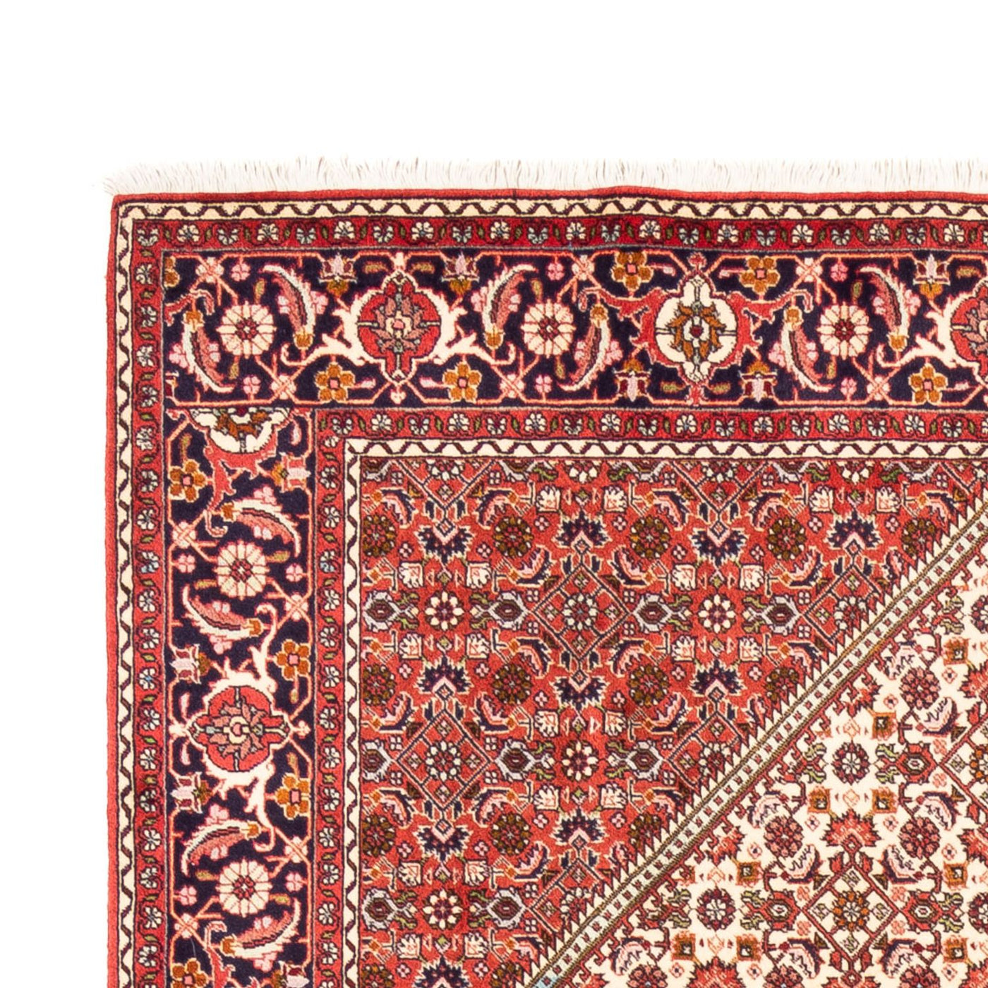 Bidjar - Bukan Rug 249x170cm - Persian Rugs