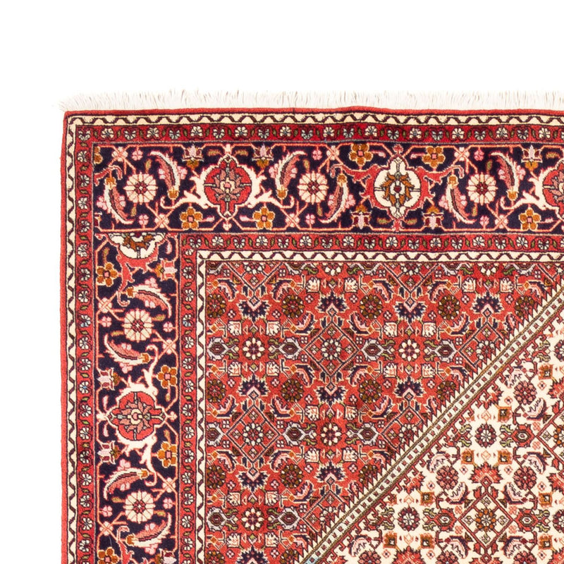 Perser Rug - Bidjar - 249 x 170 cm - beige
