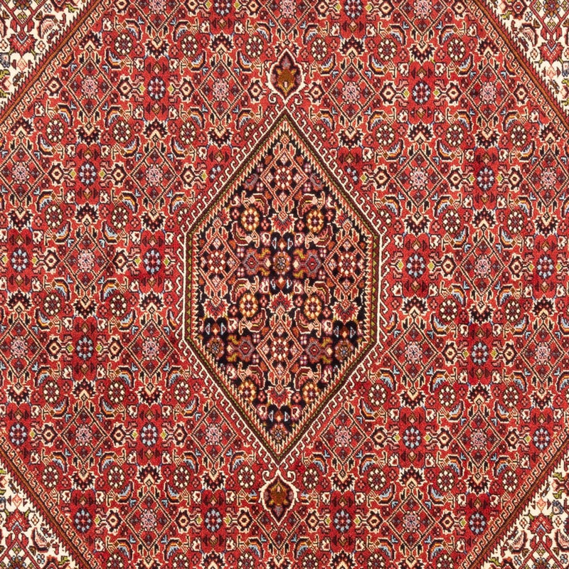 Perser Rug - Bidjar - 247 x 172 cm - red