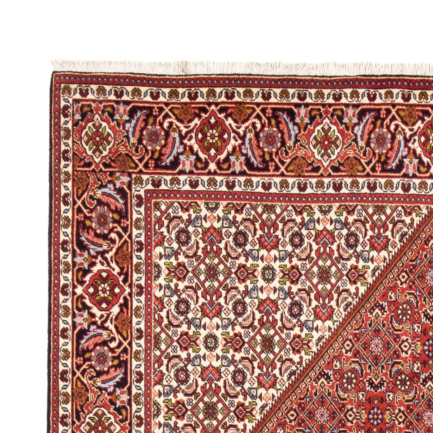 Bidjar - Bukan Rug 247x172cm - Persian Rugs