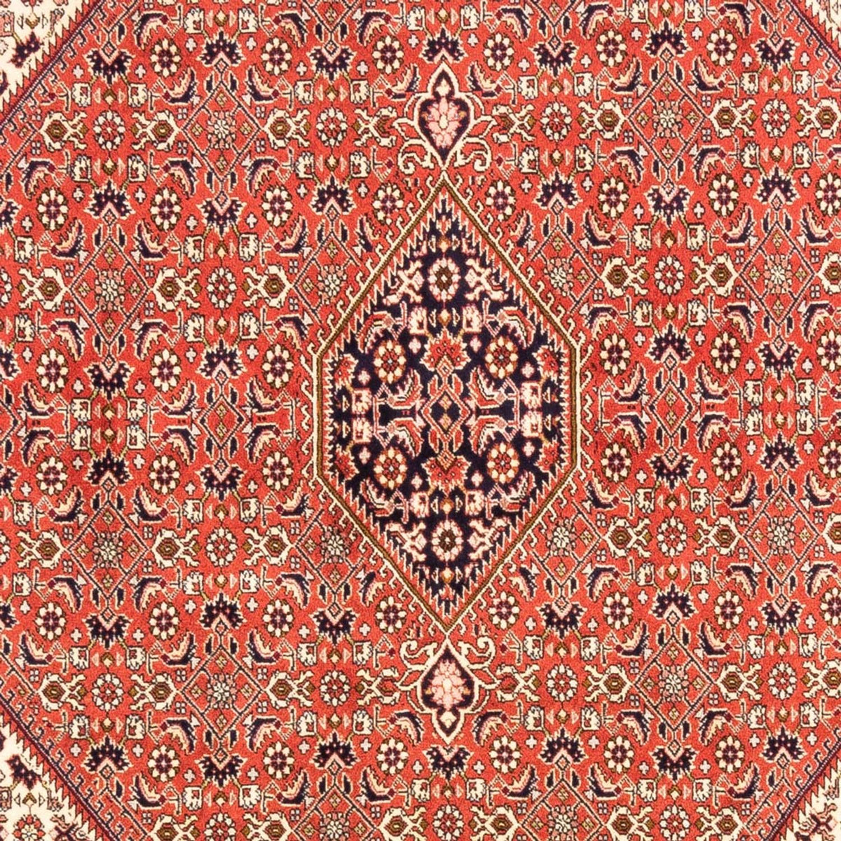 Perser Rug - Bidjar - 238 x 171 cm - red