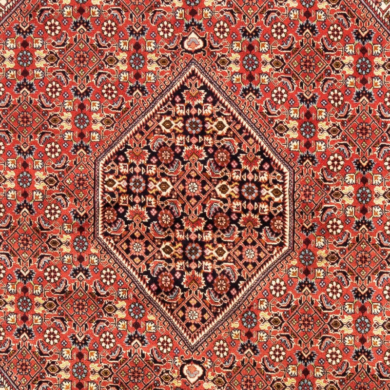Perser Rug - Bidjar - 246 x 171 cm - red