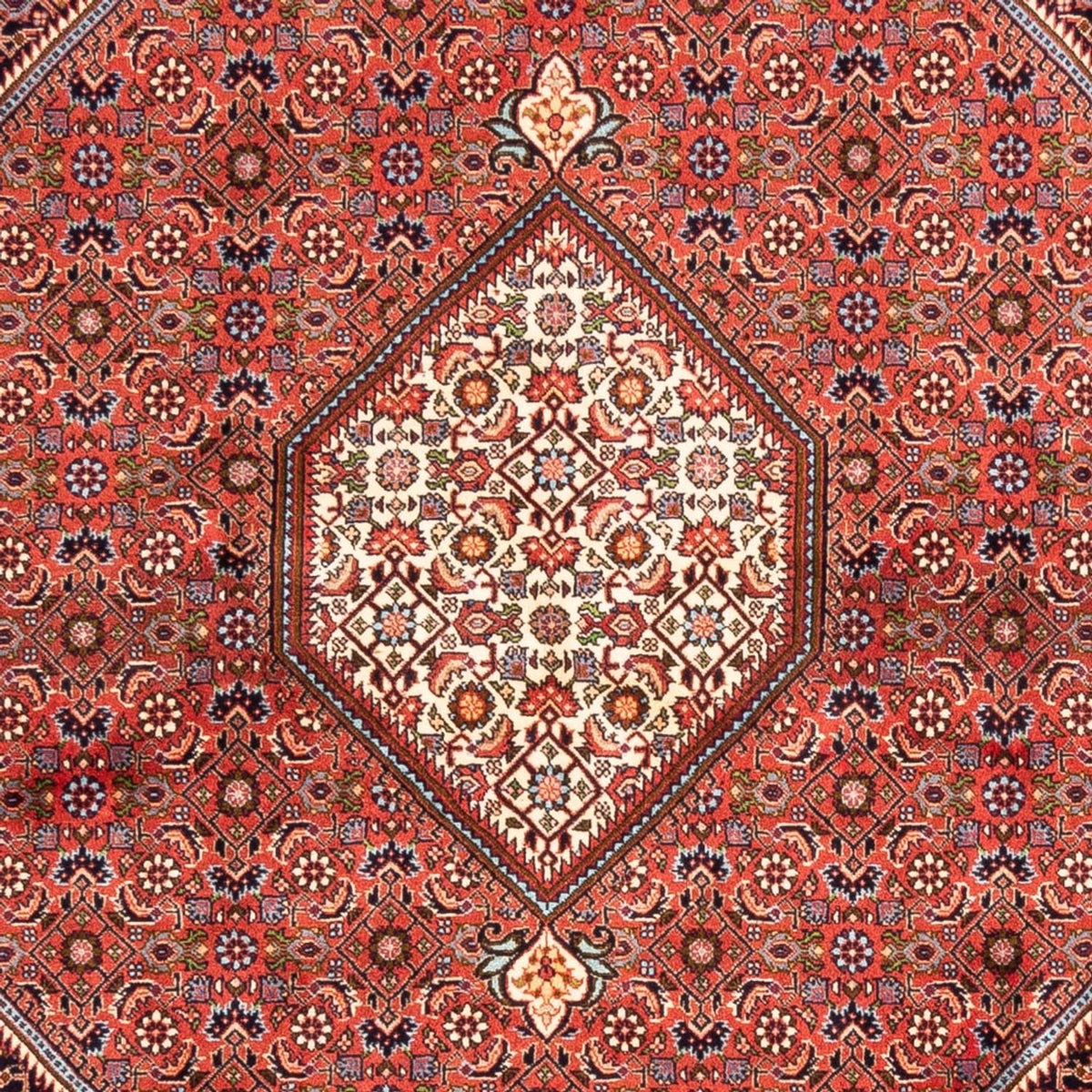 Perser Rug - Bidjar - 240 x 173 cm - red