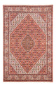 Bidjar - Bukan Rug 247x172cm - Persian Rugs