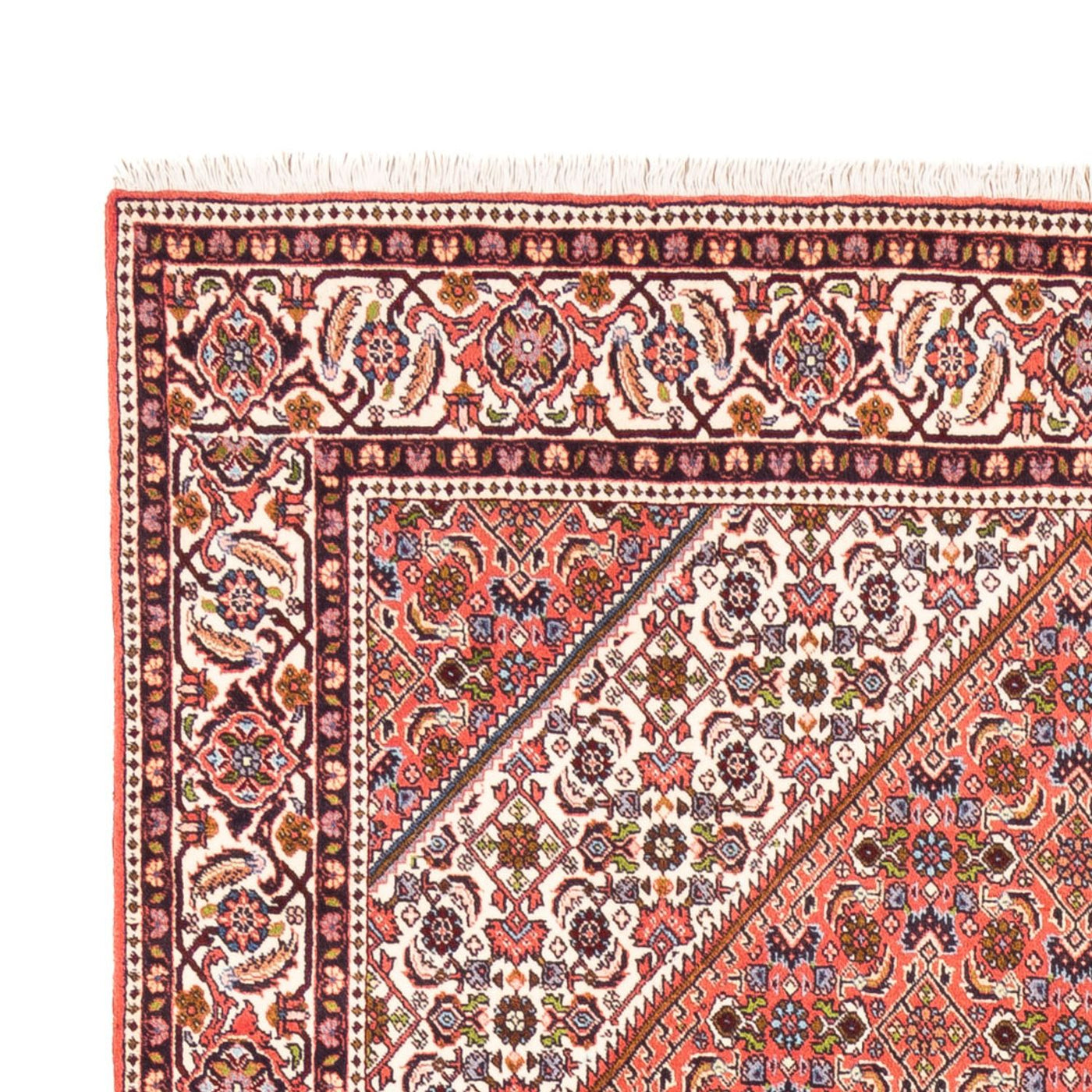 Bidjar - Bukan Rug 247x172cm - Persian Rugs