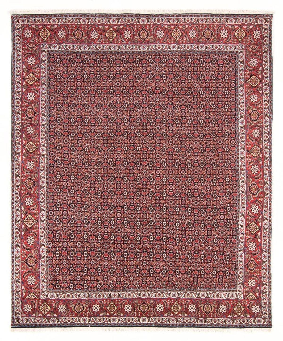 Perser Rug - Bidjar - 247 x 196 cm - dark blue