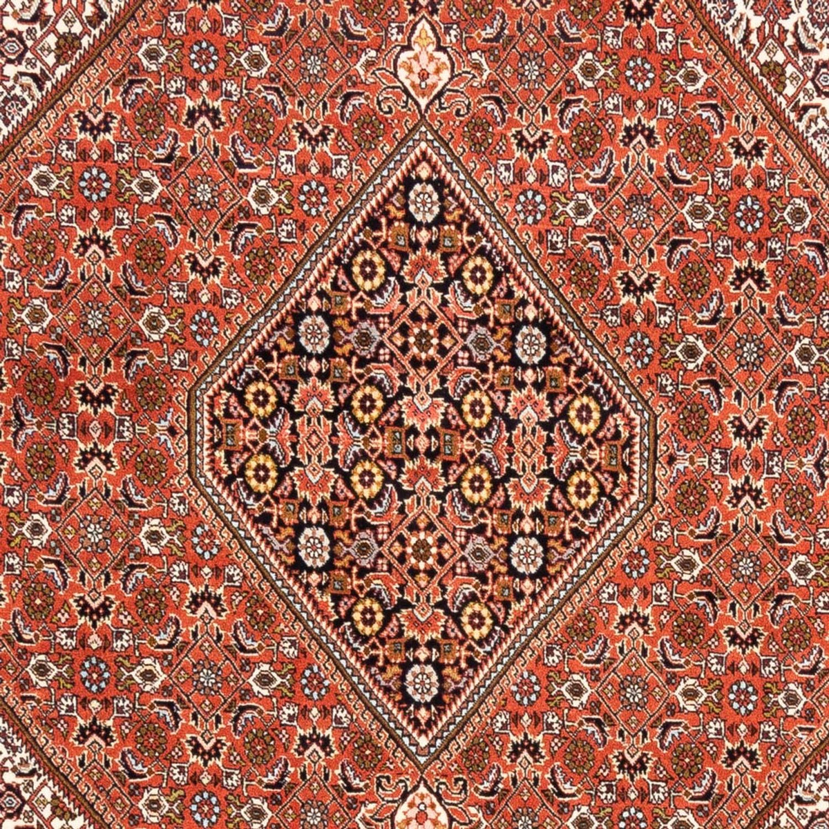 Perser Rug - Bidjar - 250 x 172 cm - red