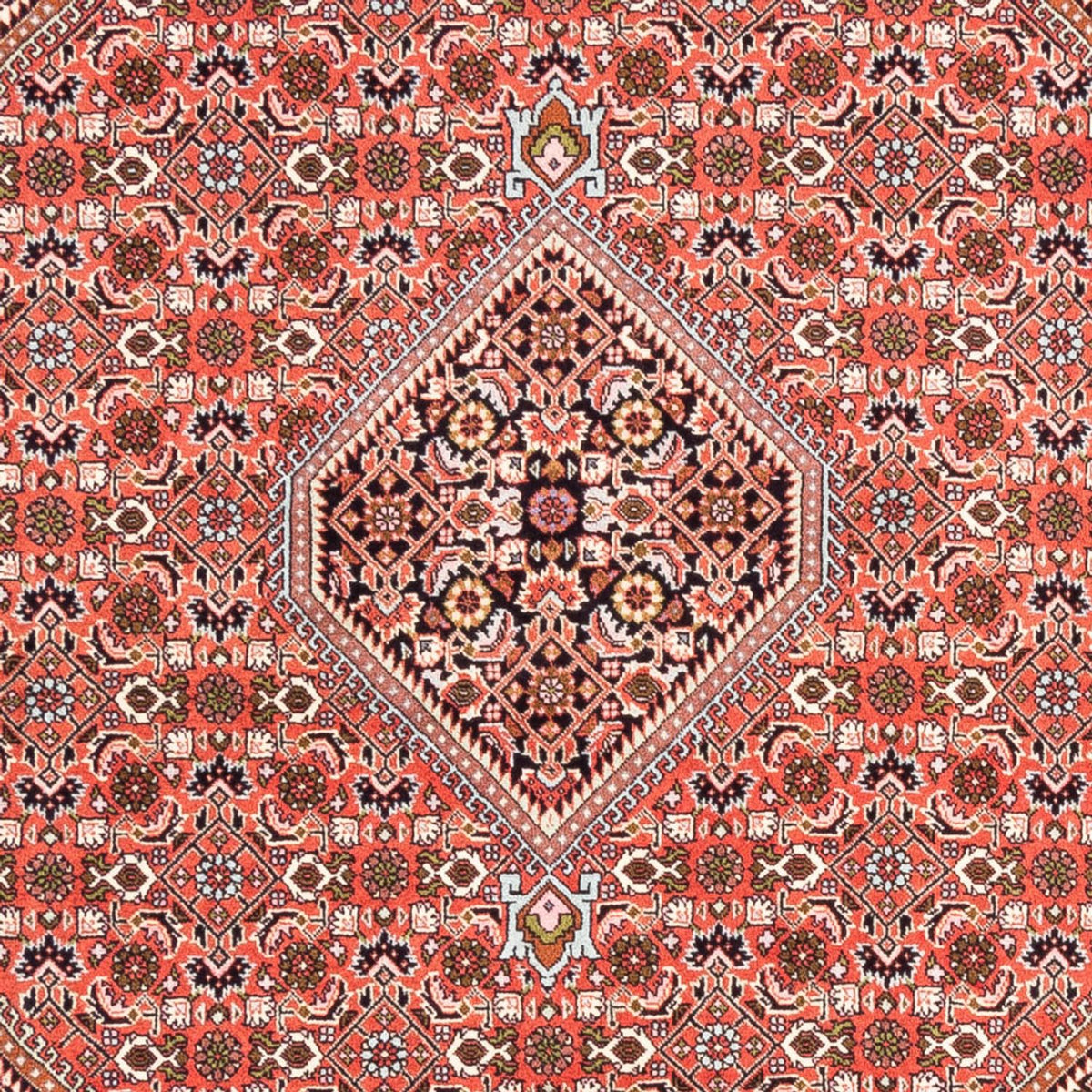 Perser Rug - Bidjar - 235 x 168 cm - red