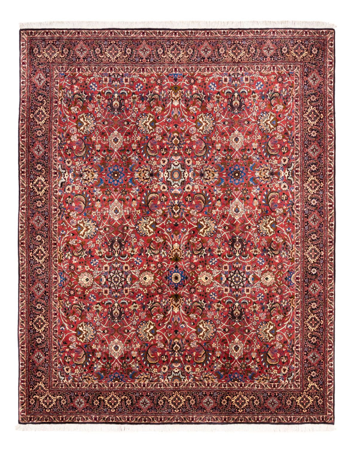 Perser Rug - Bidjar - 246 x 197 cm - bordeaux red