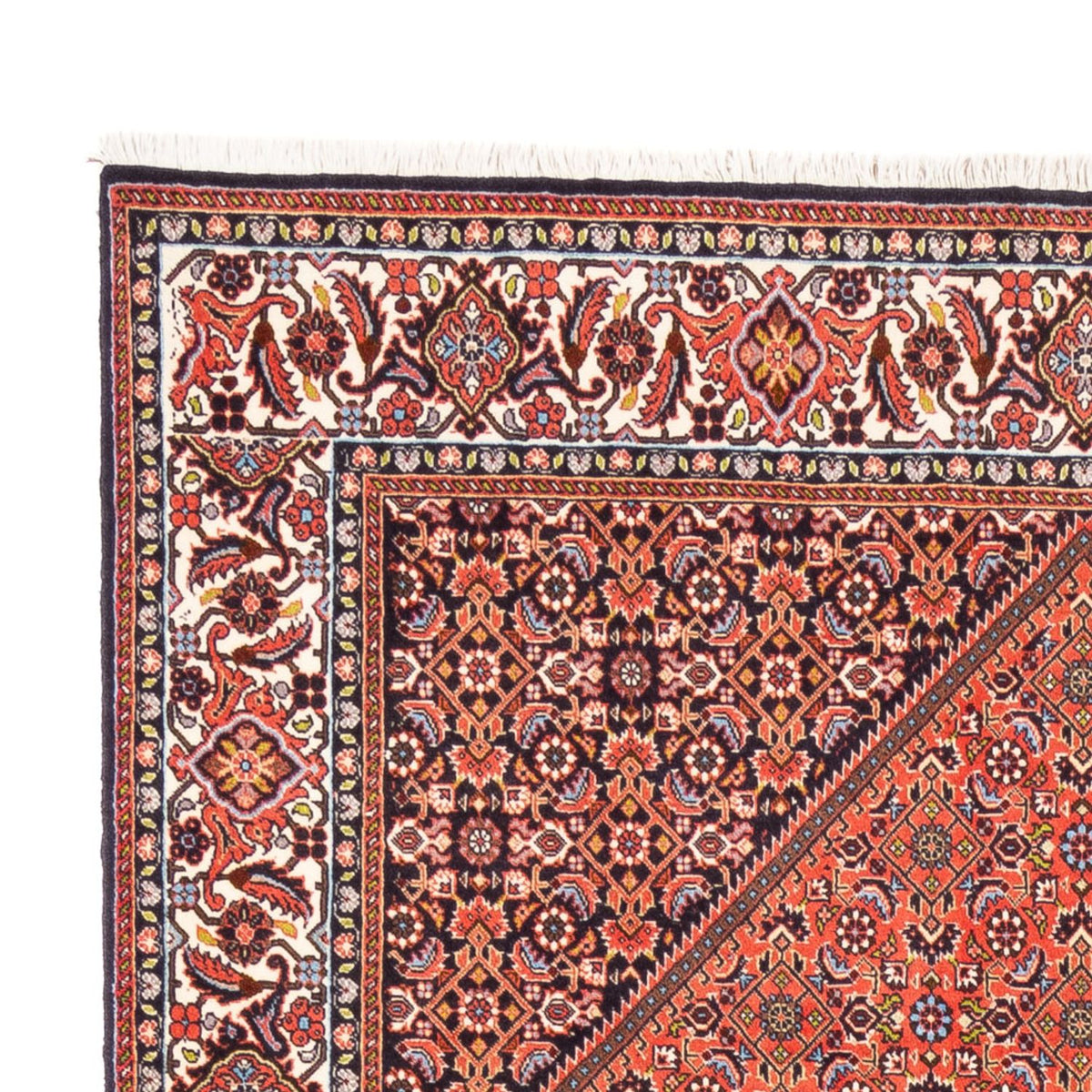 Perser Rug - Bidjar - 240 x 173 cm - red