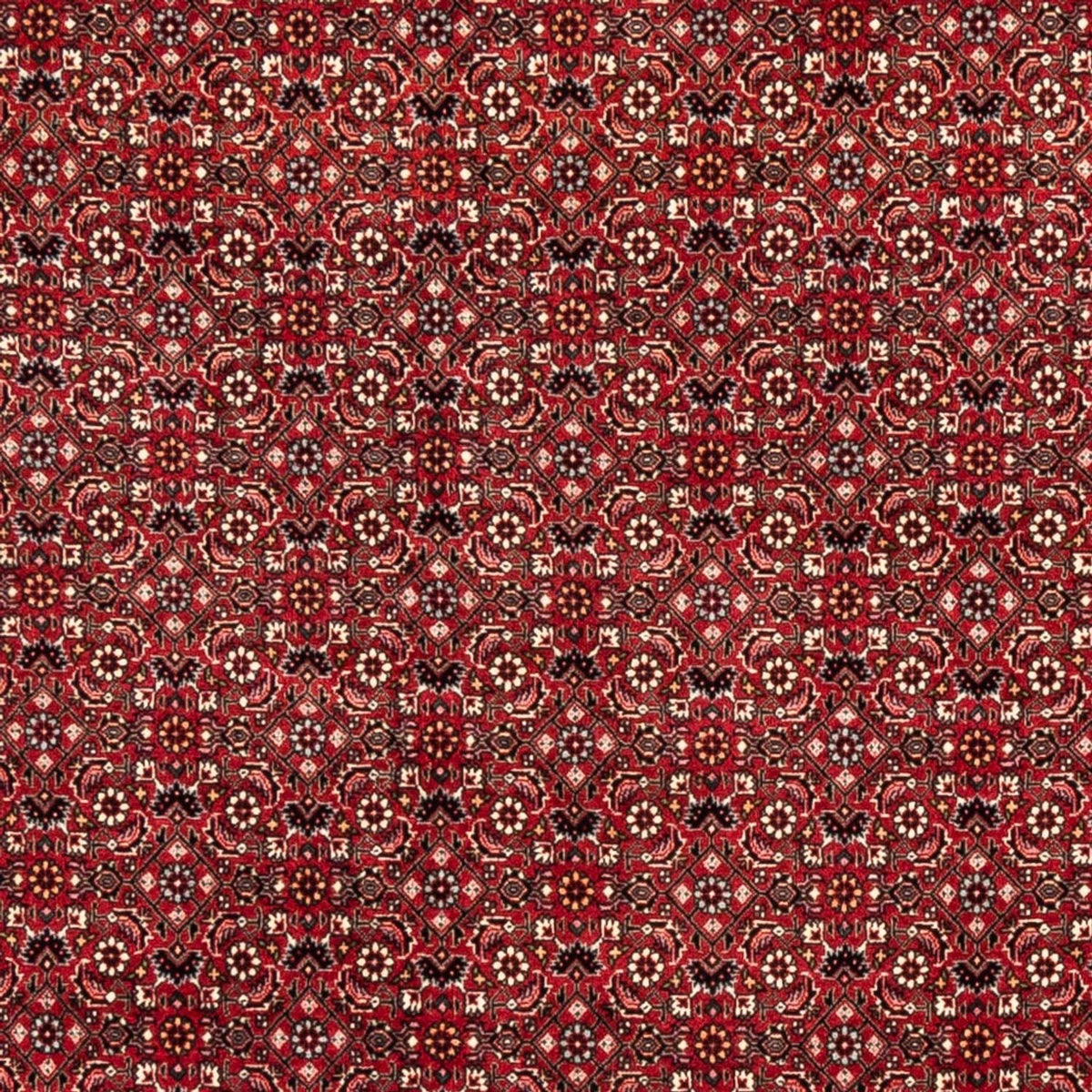 Perser Rug - Bidjar - 238 x 178 cm - red