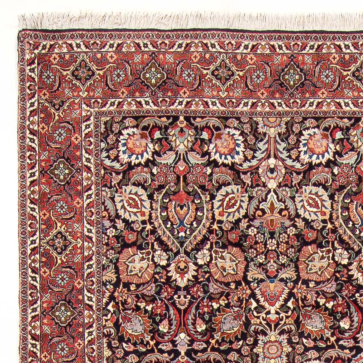 Bidjar Rug 205x295cm - Persian Rugs