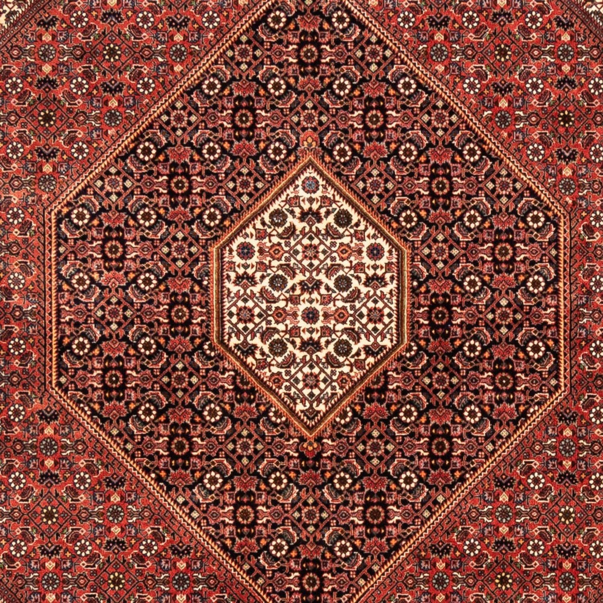 Perser Rug - Bidjar - 235 x 170 cm - red
