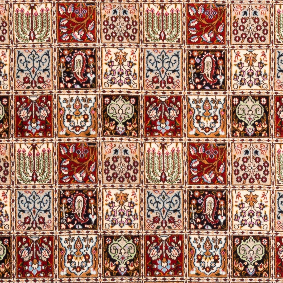 Perser Rug - Classic - 240 x 169 cm - multicolored