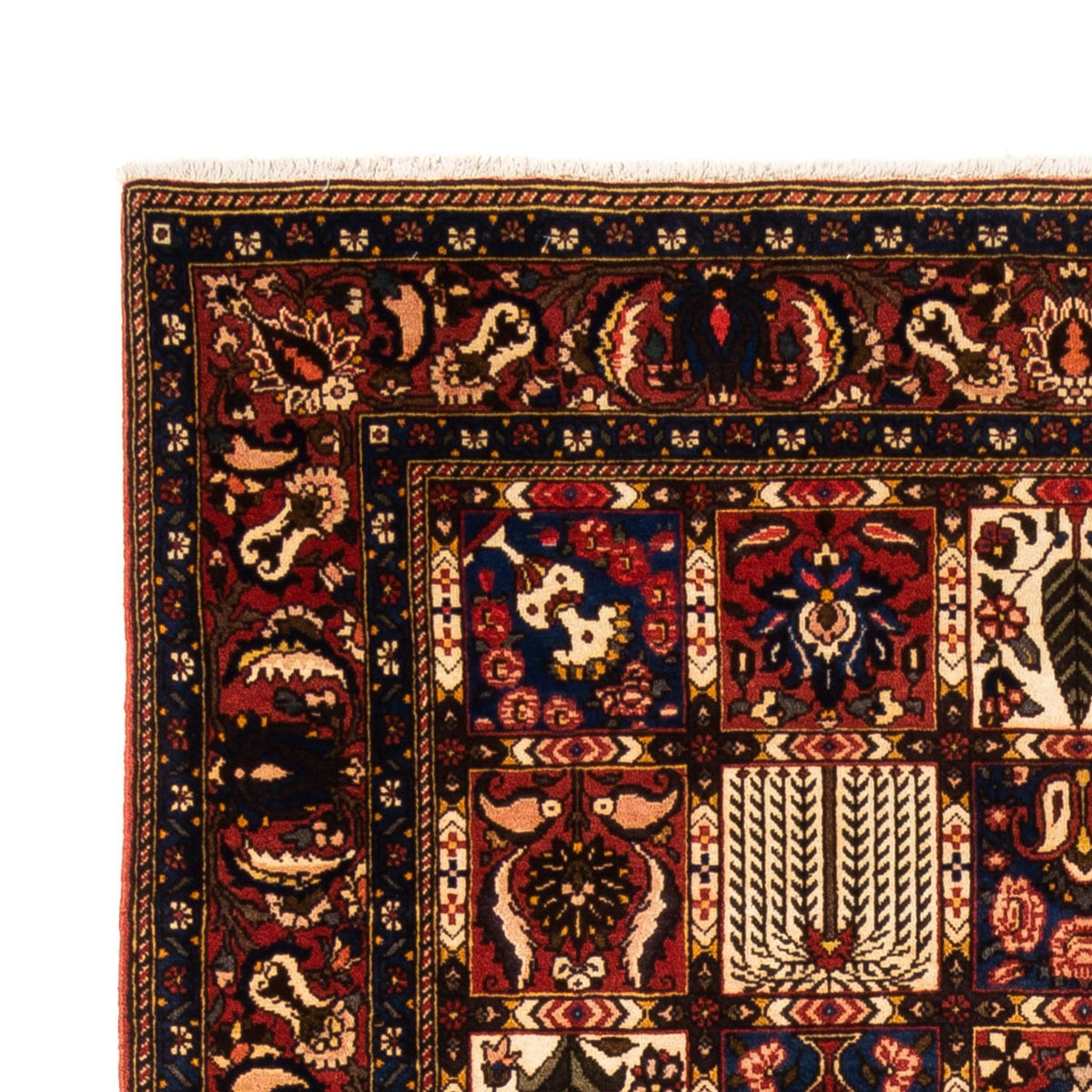 Bakhtiari Rug 155x250cm - Persian Rugs