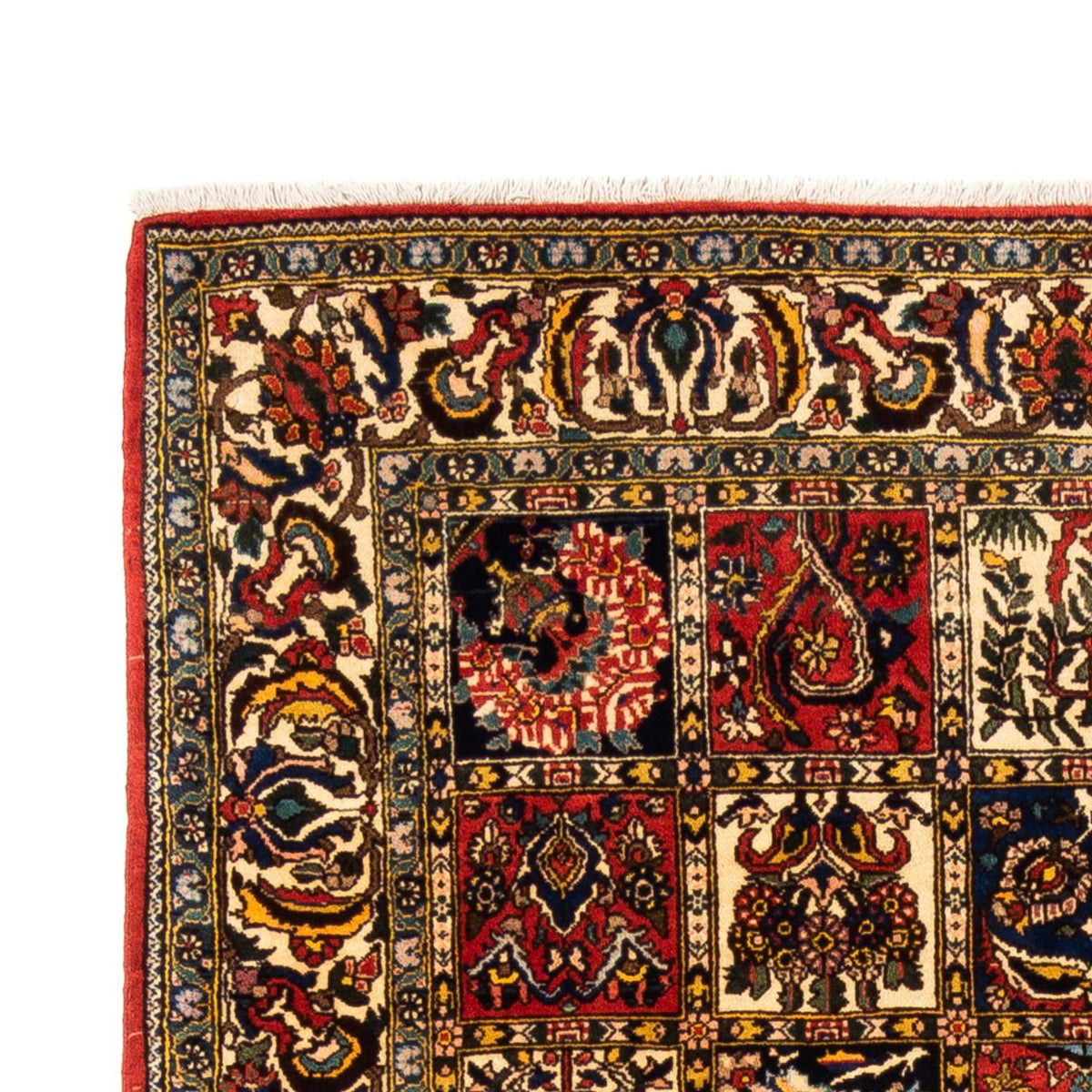 Bakhtiari Rug 155x250cm - Persian Rugs