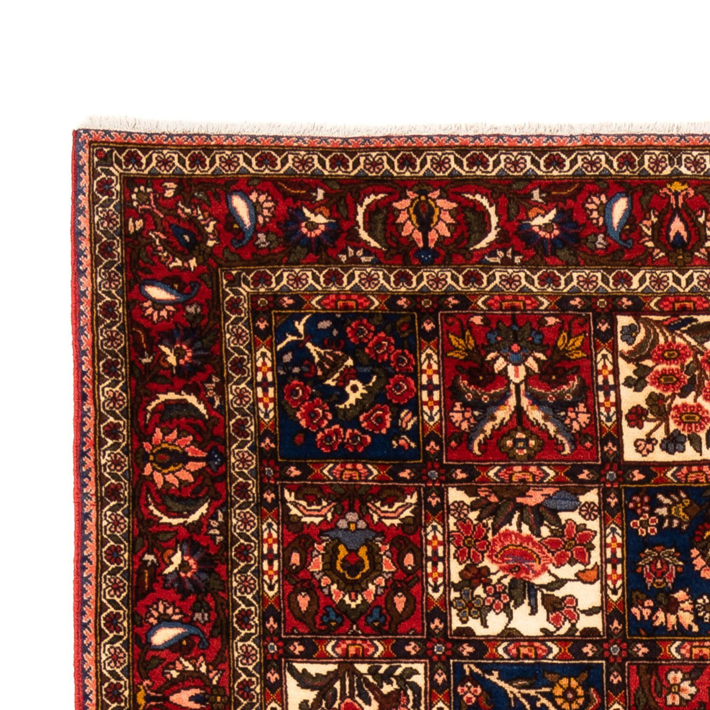 Bakhtiari Rug 260x157cm - Persian Rugs