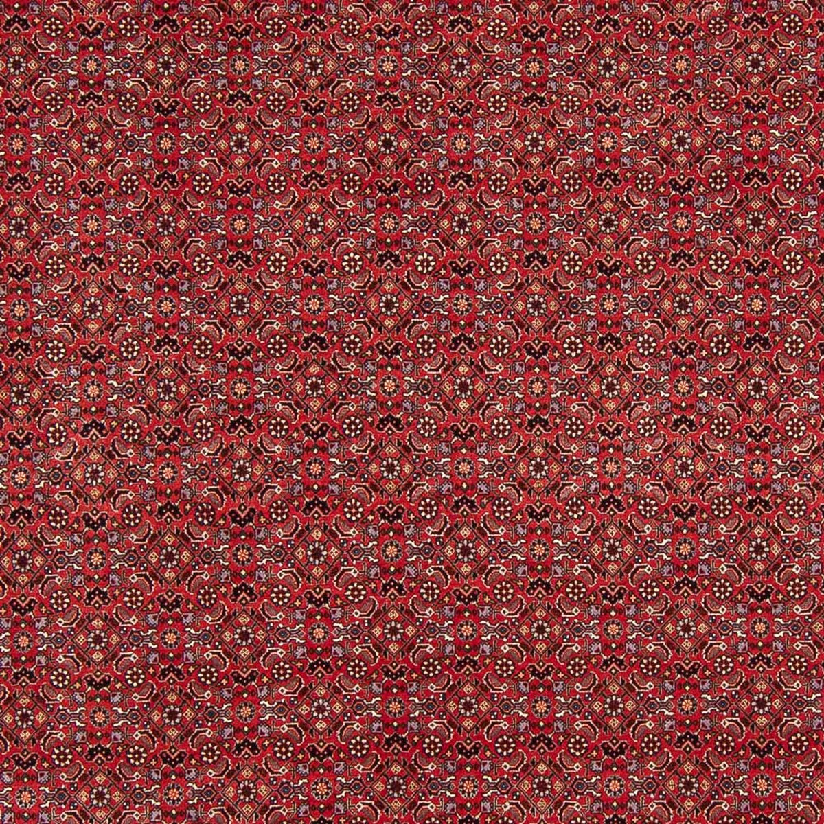 Perser Rug - Bidjar - Royal - 272 x 217 cm - dark red