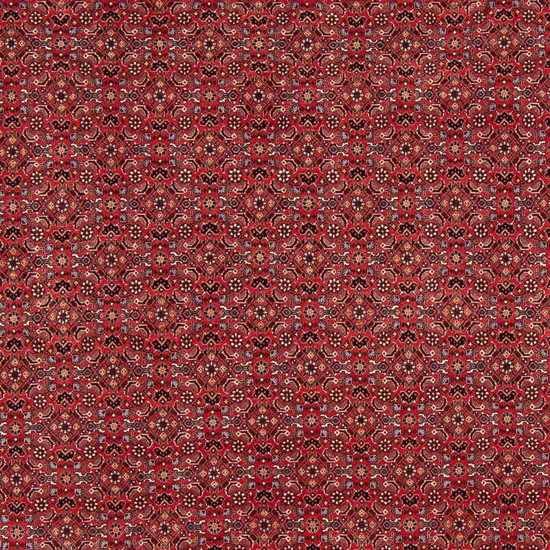 Perser Rug - Bidjar - Royal - 272 x 217 cm - dark red