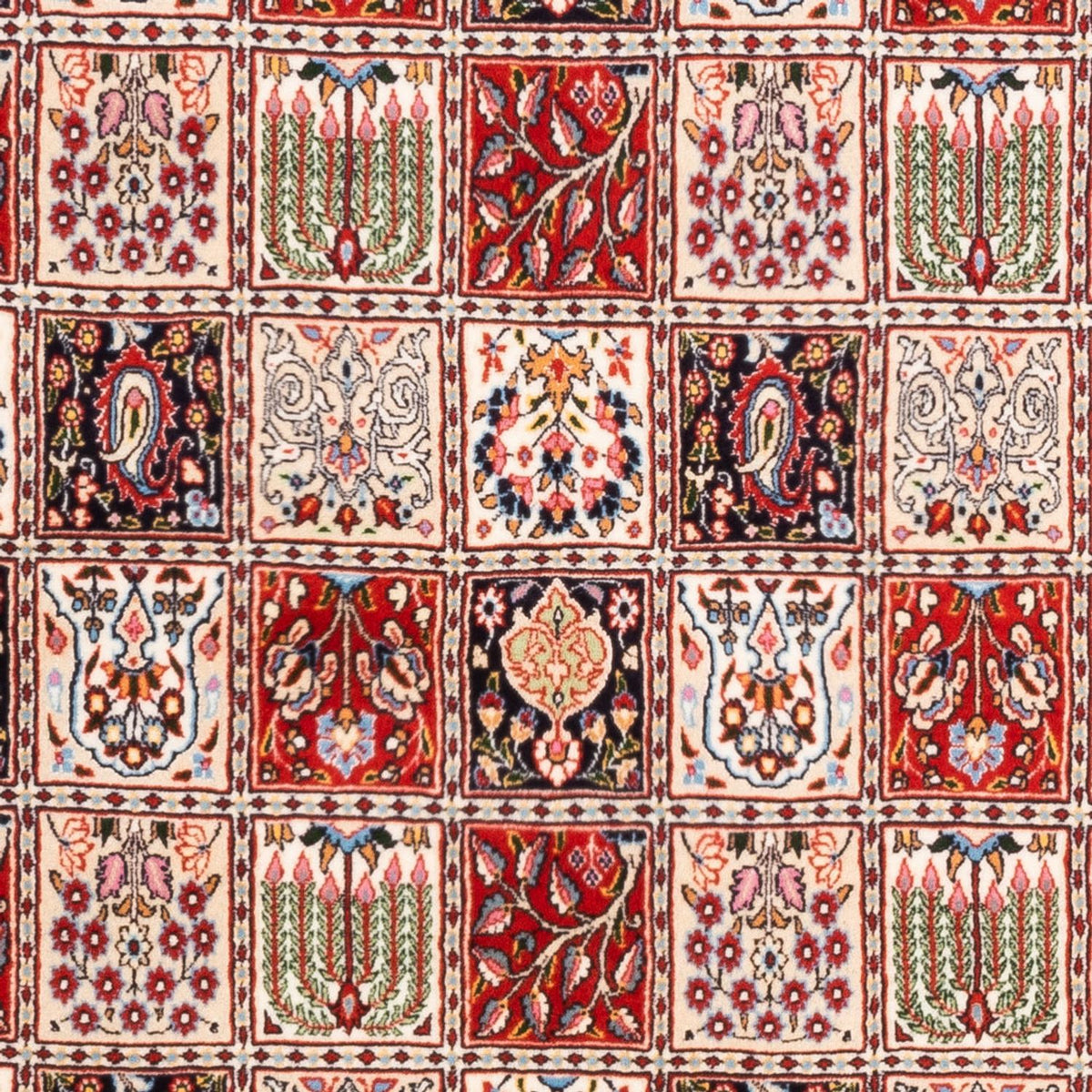 Perser Rug - Classic - 245 x 167 cm - multicolored