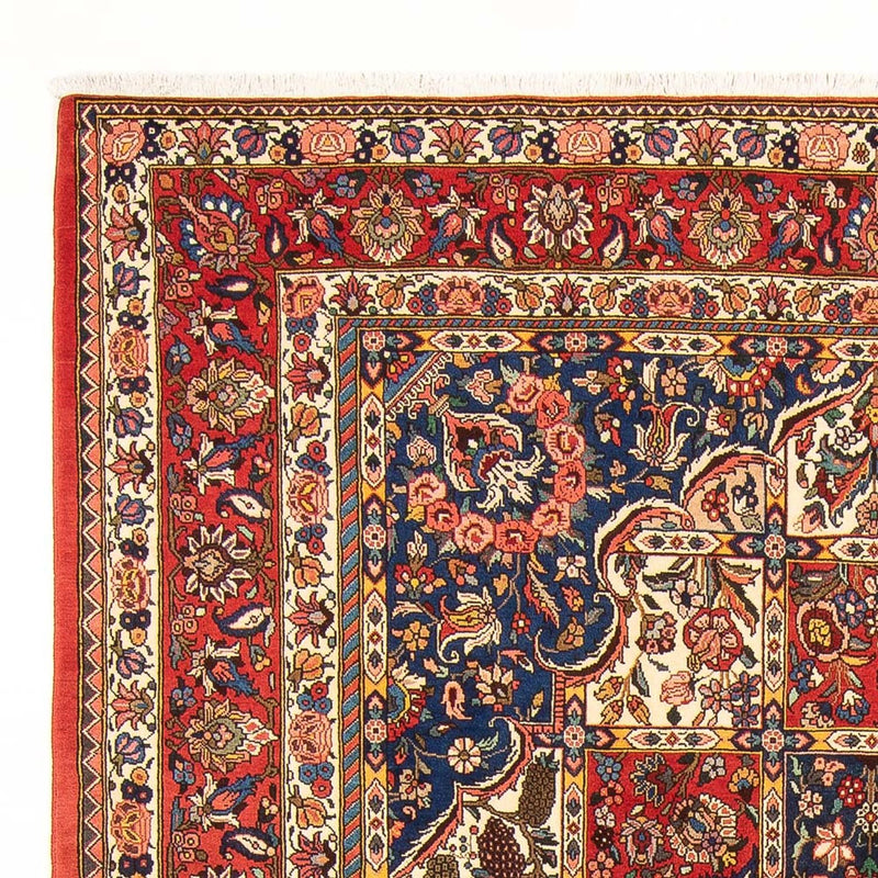 Perser Rug - Nomadic - 304 x 212 cm - dark blue