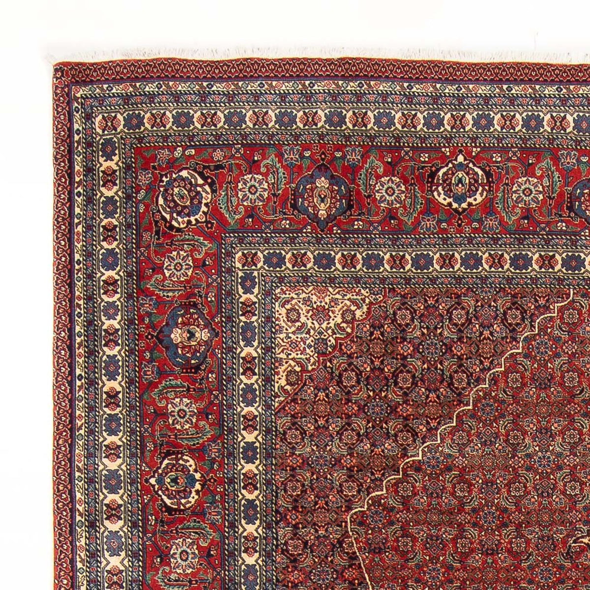 Tabriz - 50 Raj Rug 202x290cm - Persian Rugs