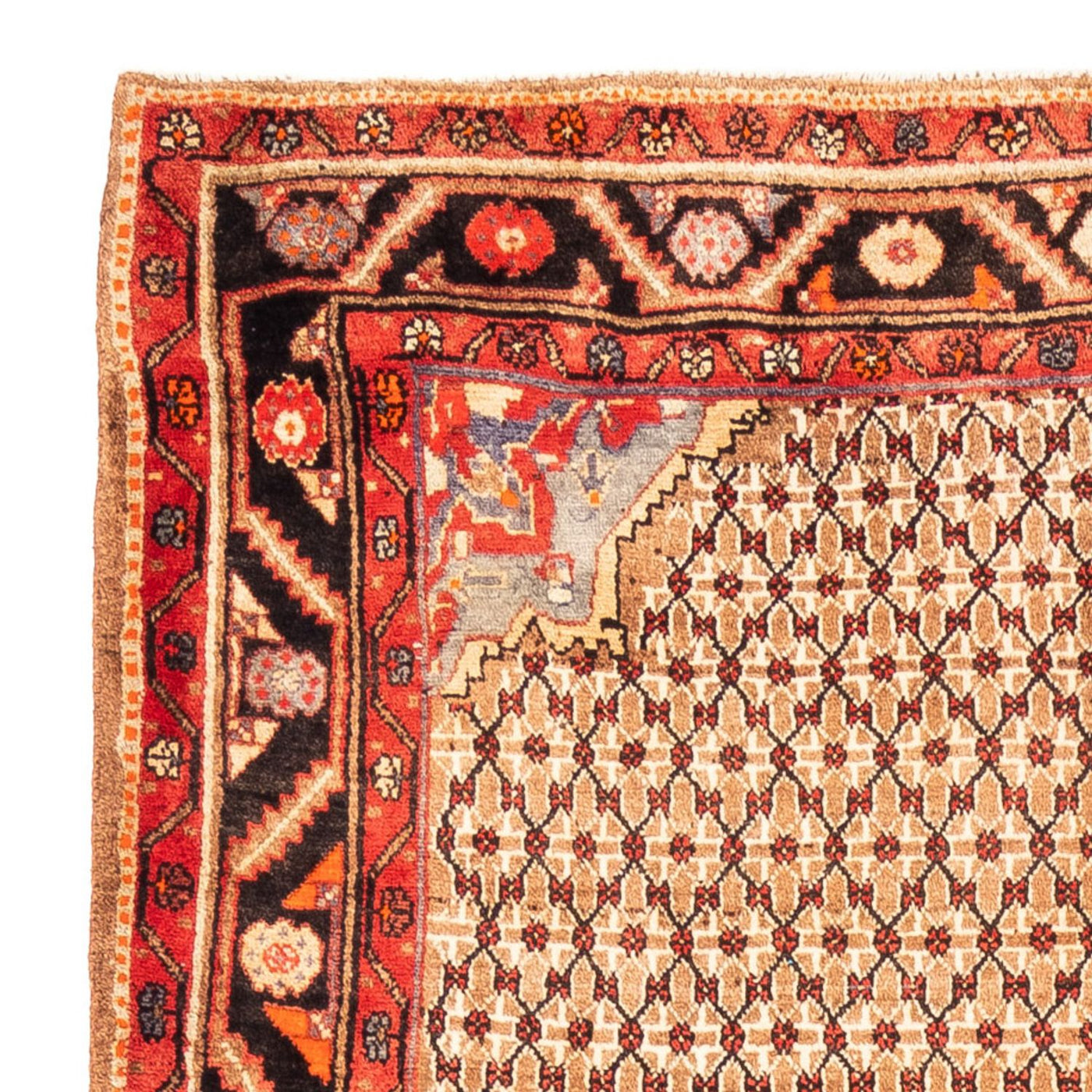 Kolyai Rug 313x170cm - Persian Rugs
