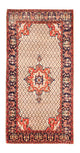 Kolyai Rug 310x155cm - Persian Rugs