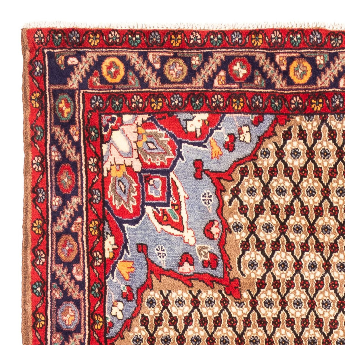 Kolyai Rug 155x290cm - Persian Rugs