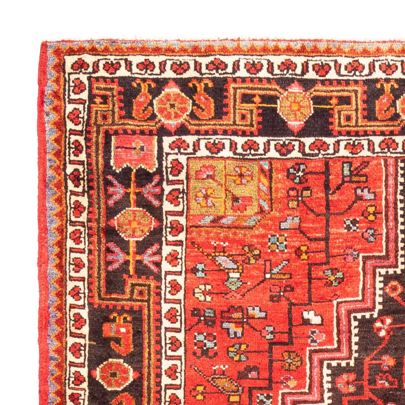 Hamadan Rug 273x154cm - Persian Rugs