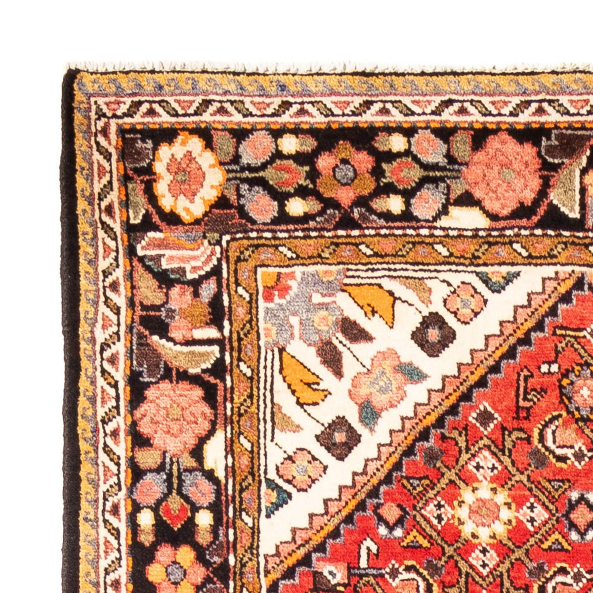 Hosseinabad Rug 160x315cm - Persian Rugs