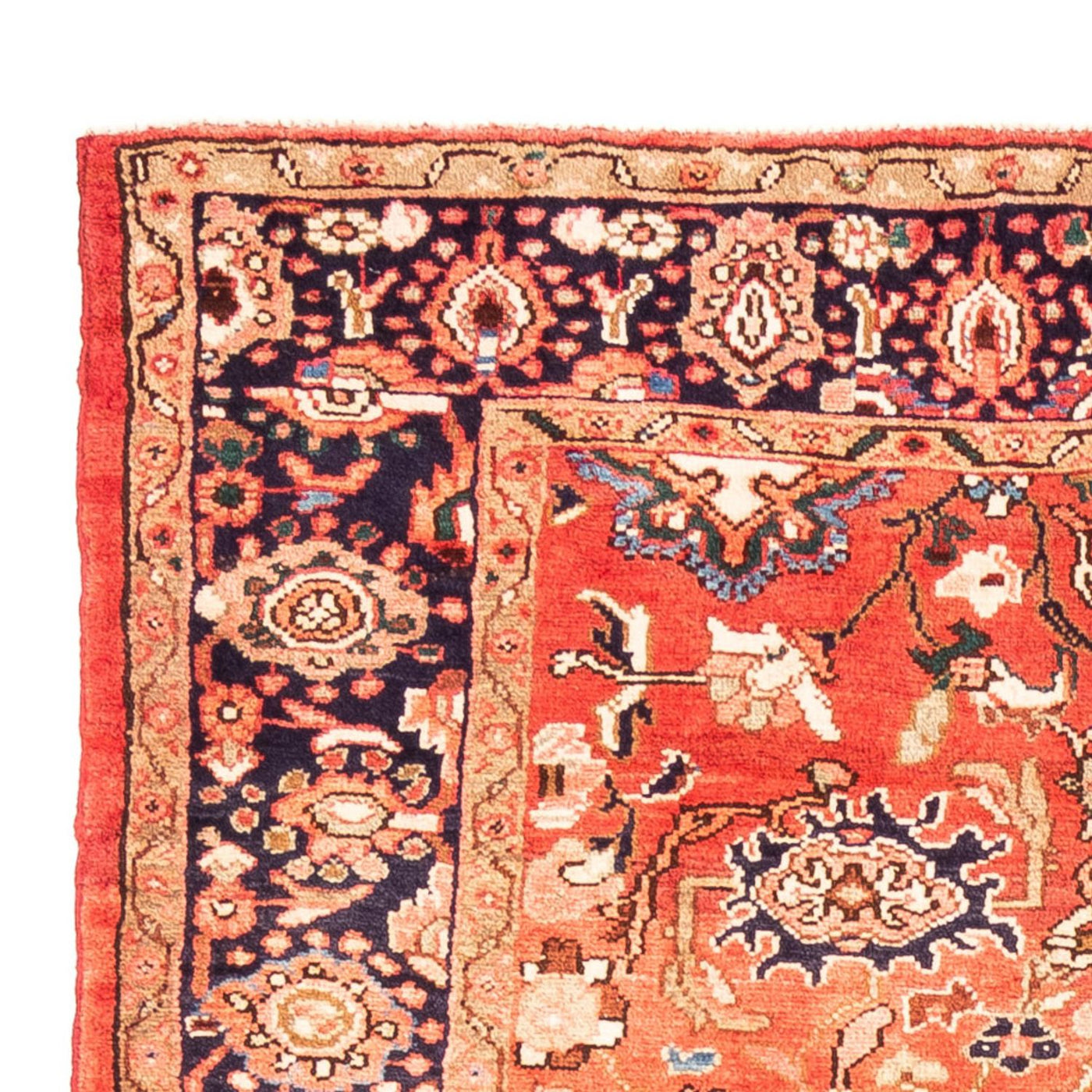 Hamadan Rug 278x150cm - Persian Rugs