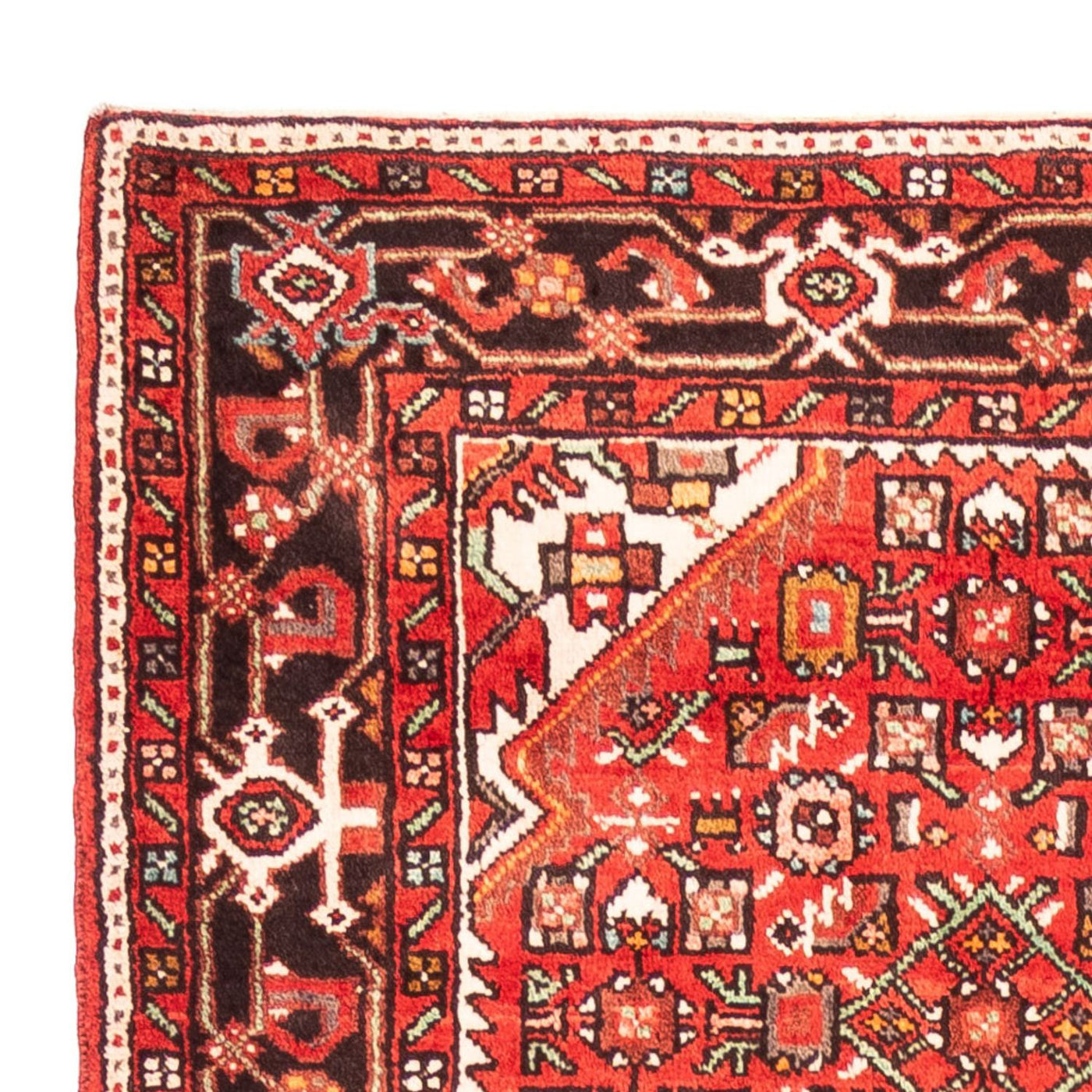 Hosseinabad Rug 313x160cm - Persian Rugs