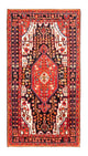 Nahavand Rug 285x155cm - Persian Rugs
