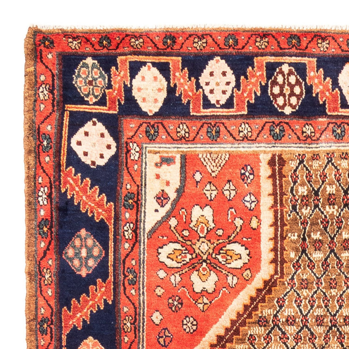 Kolyai Rug 157x265cm - Persian Rugs