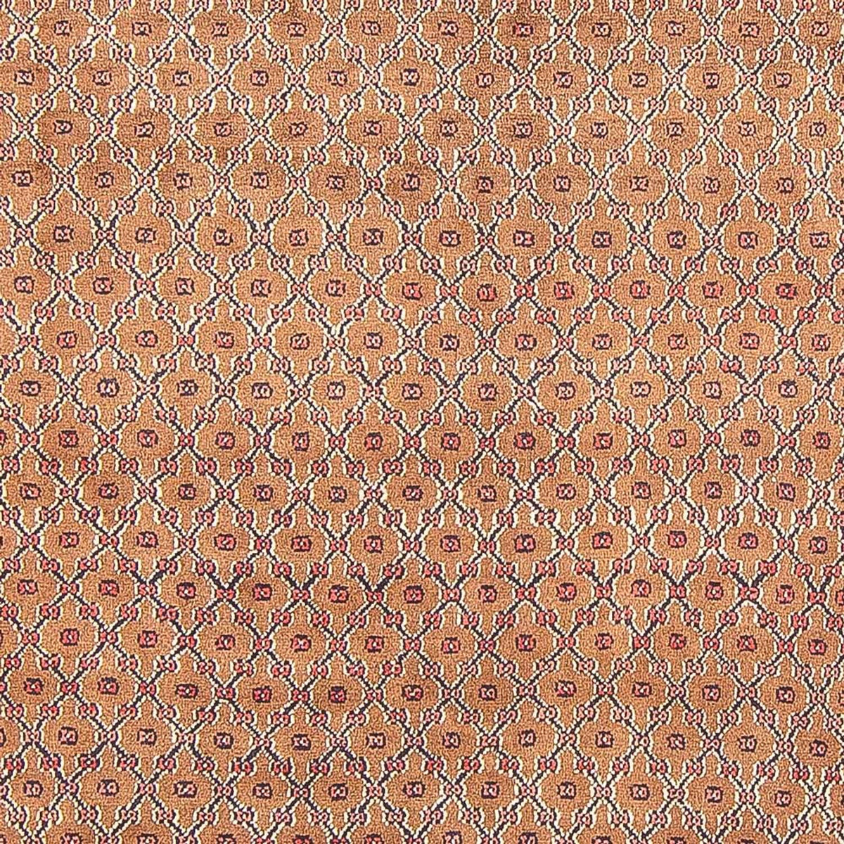 Perser Rug - Nomadic - 290 x 150 cm - multicolored