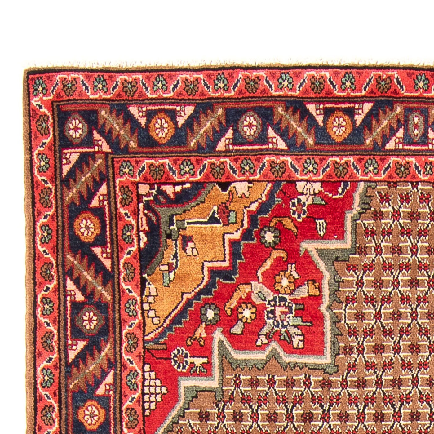 Kolyai Rug 285x155cm - Persian Rugs