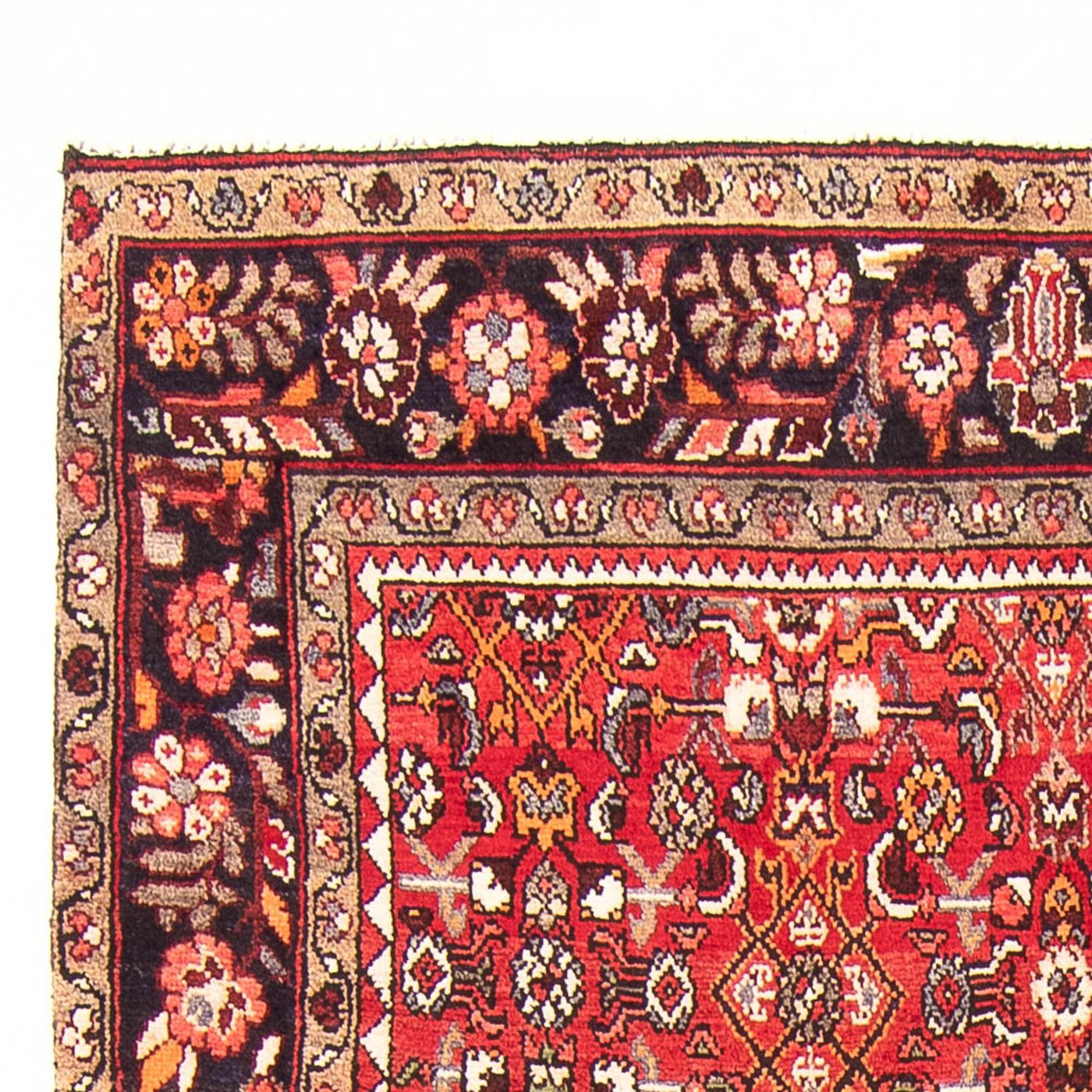 Hosseinabad Rug 285x158cm - Persian Rugs