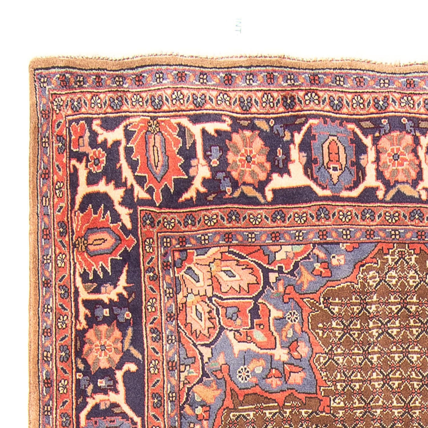 Kolyai Rug 295x157cm - Persian Rugs