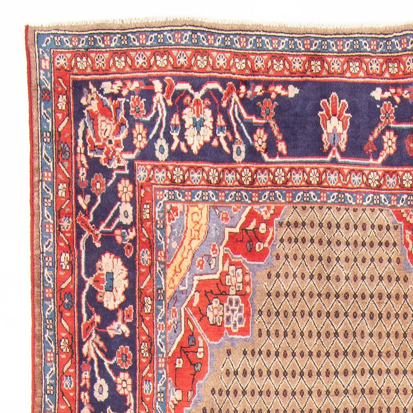 Kolyai Rug 350x150cm - Persian Rugs