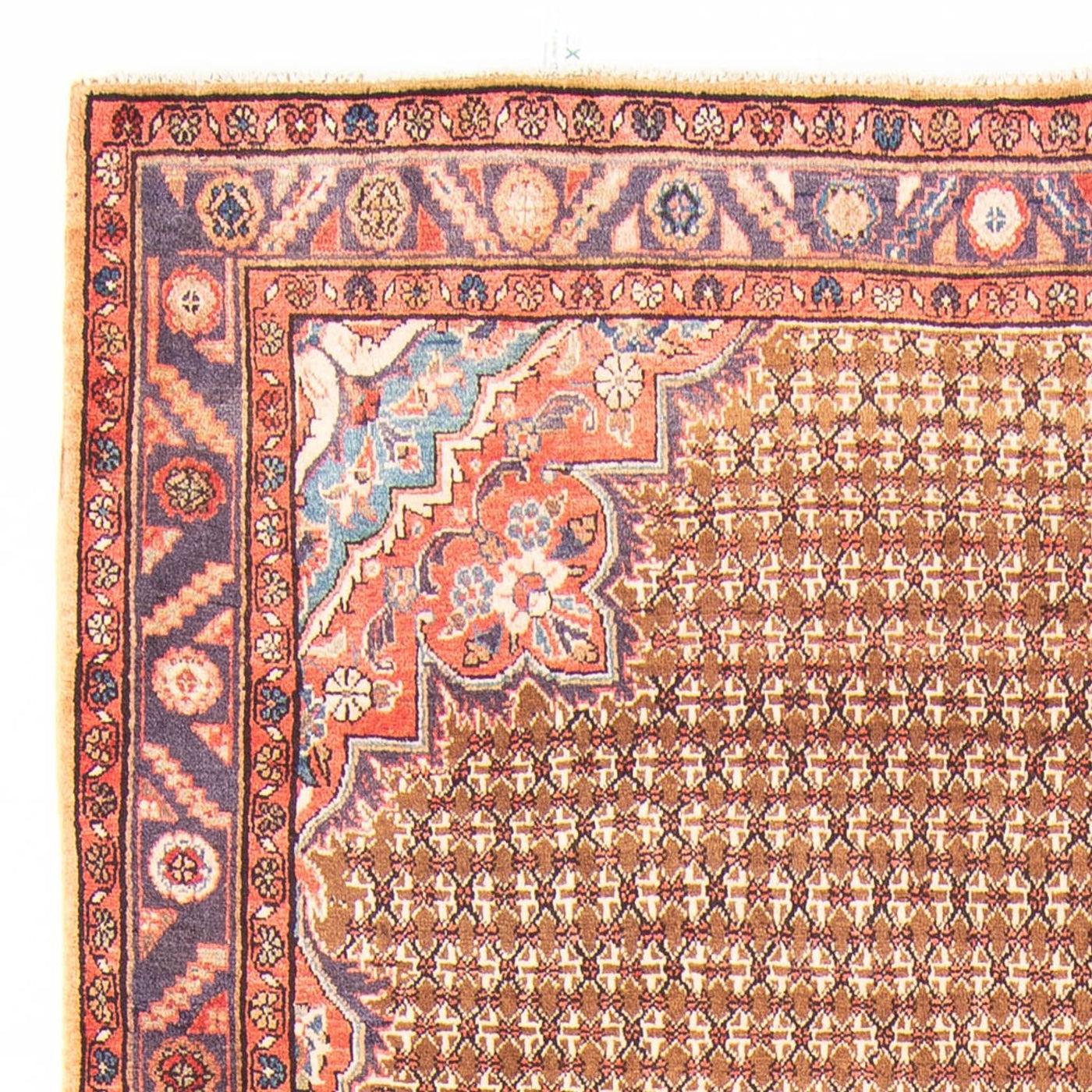 Kolyai Rug 310x155cm - Persian Rugs