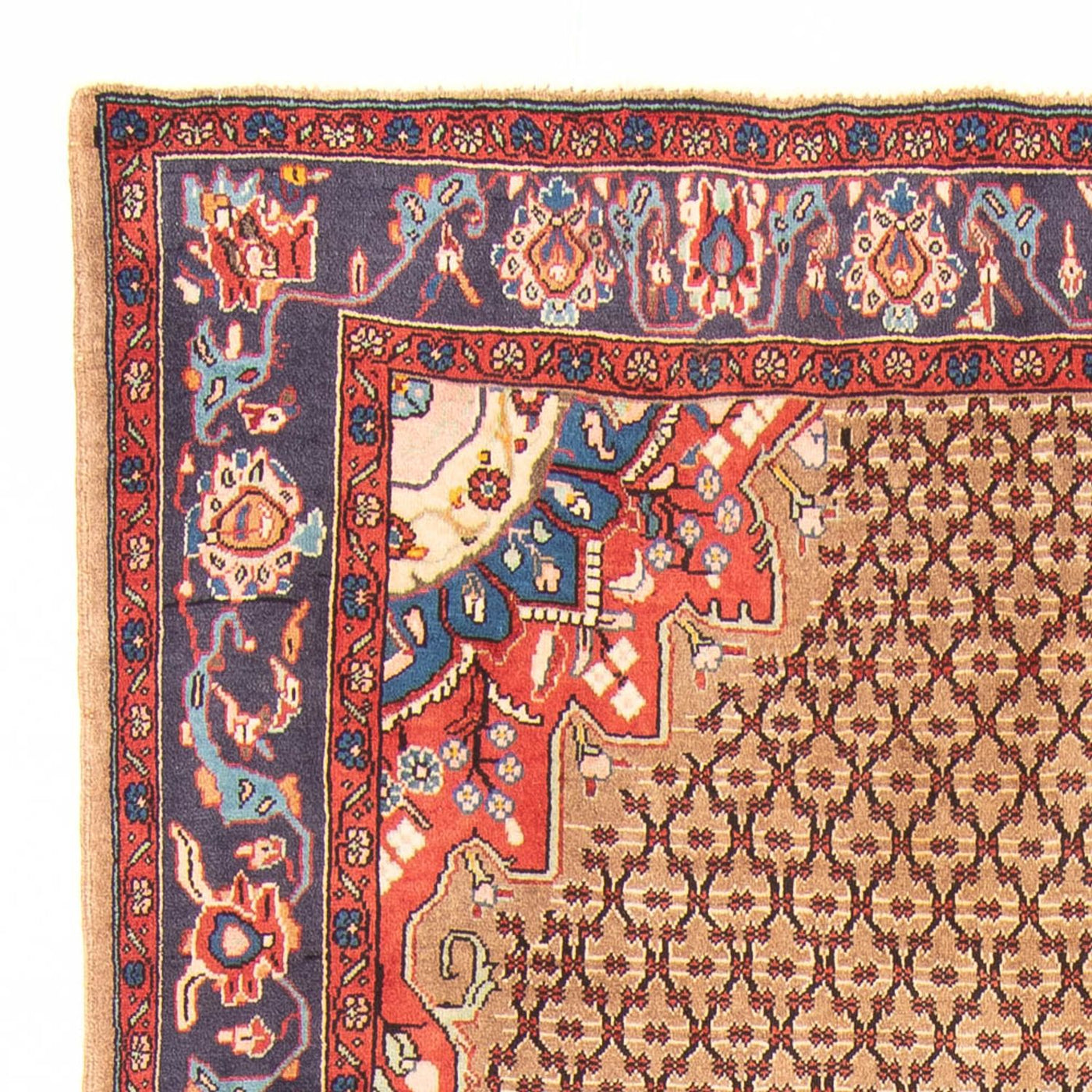 Kolyai Rug 310x150cm - Persian Rugs